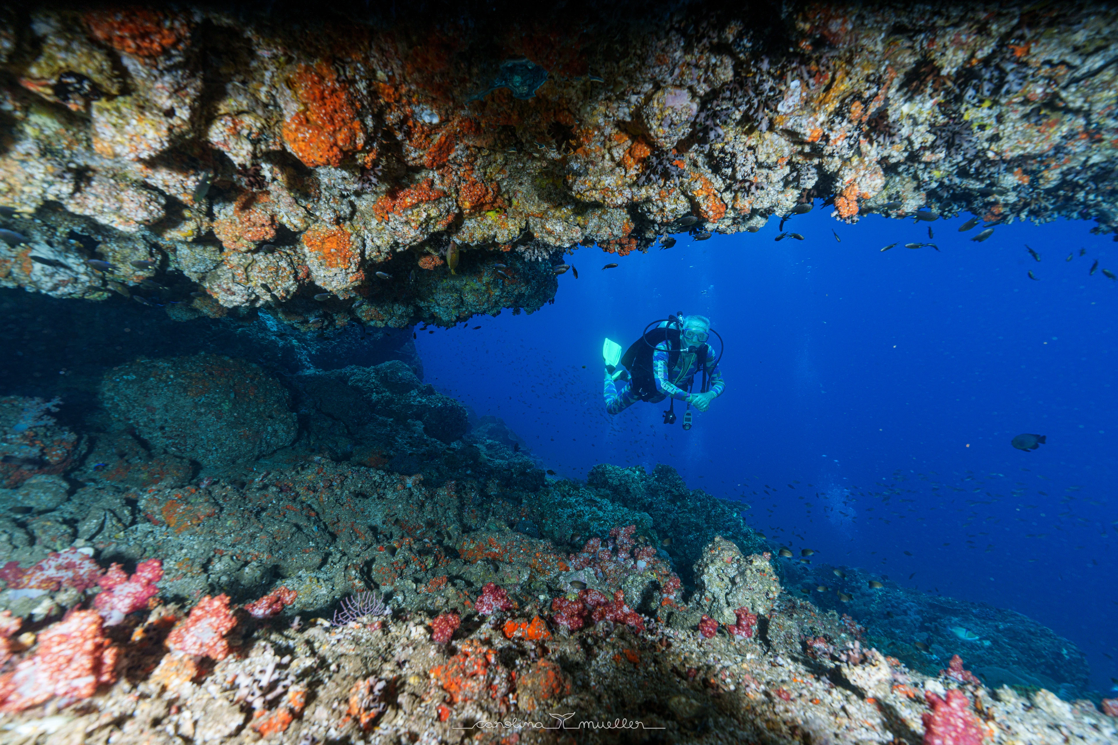 Fahal Island Dive Trips