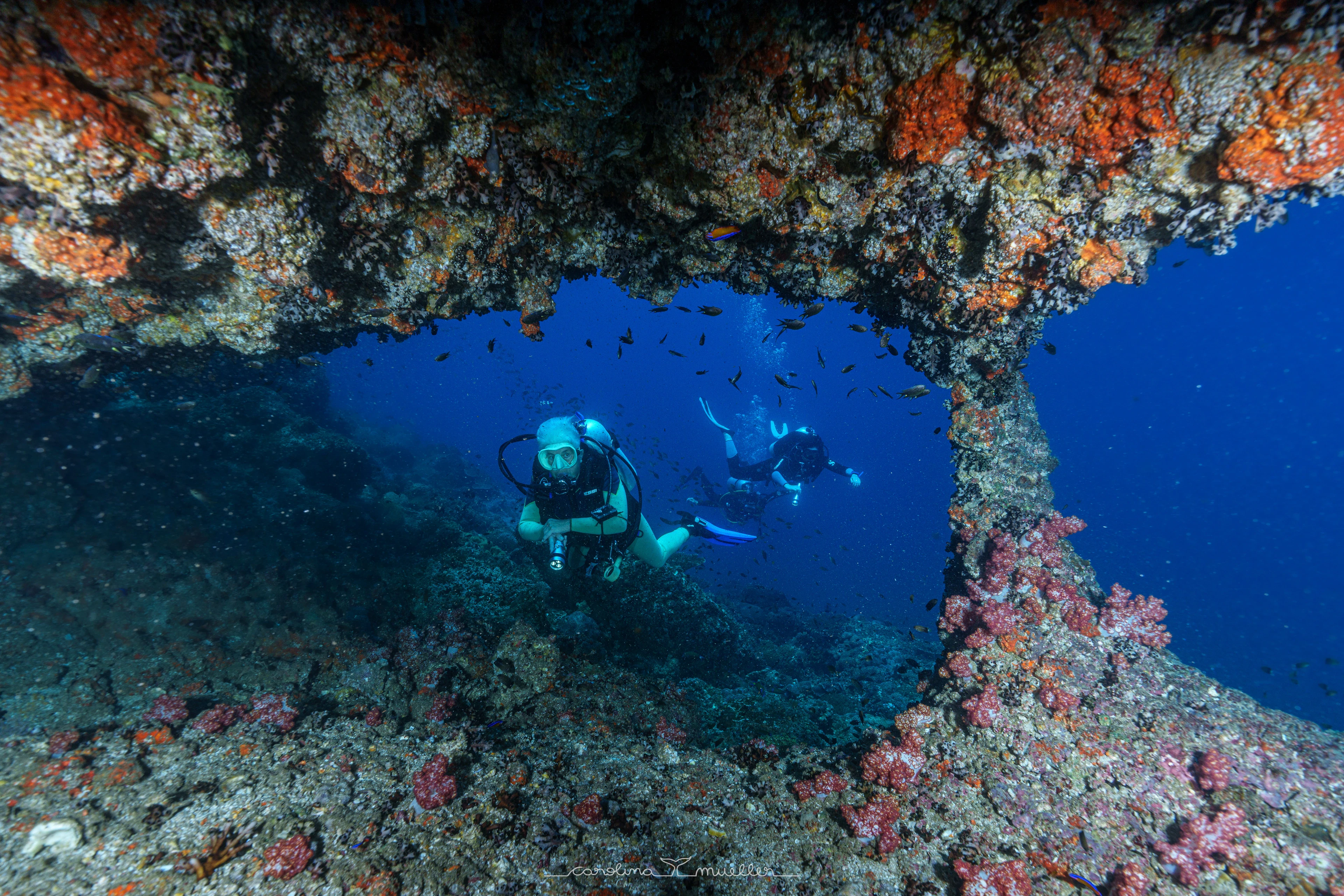 Pair of divers passing through a coral arch