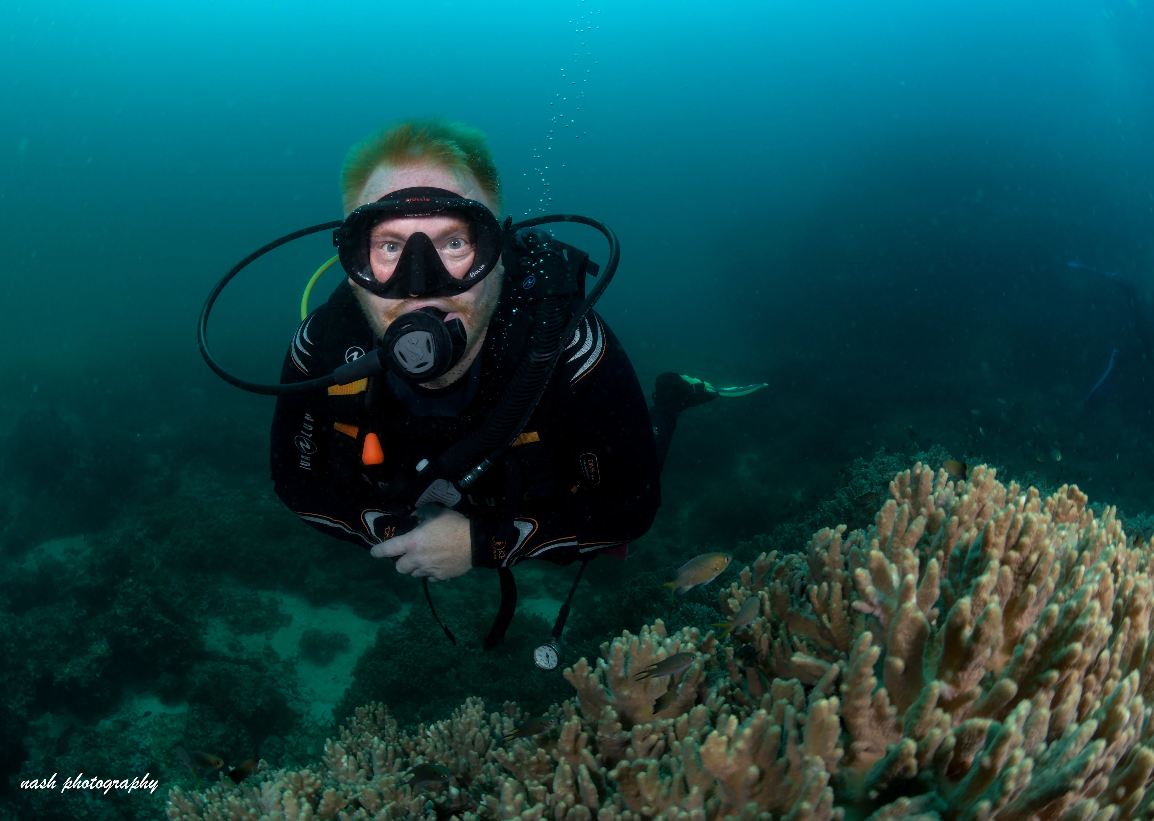 Diver hovering beside hard coral
