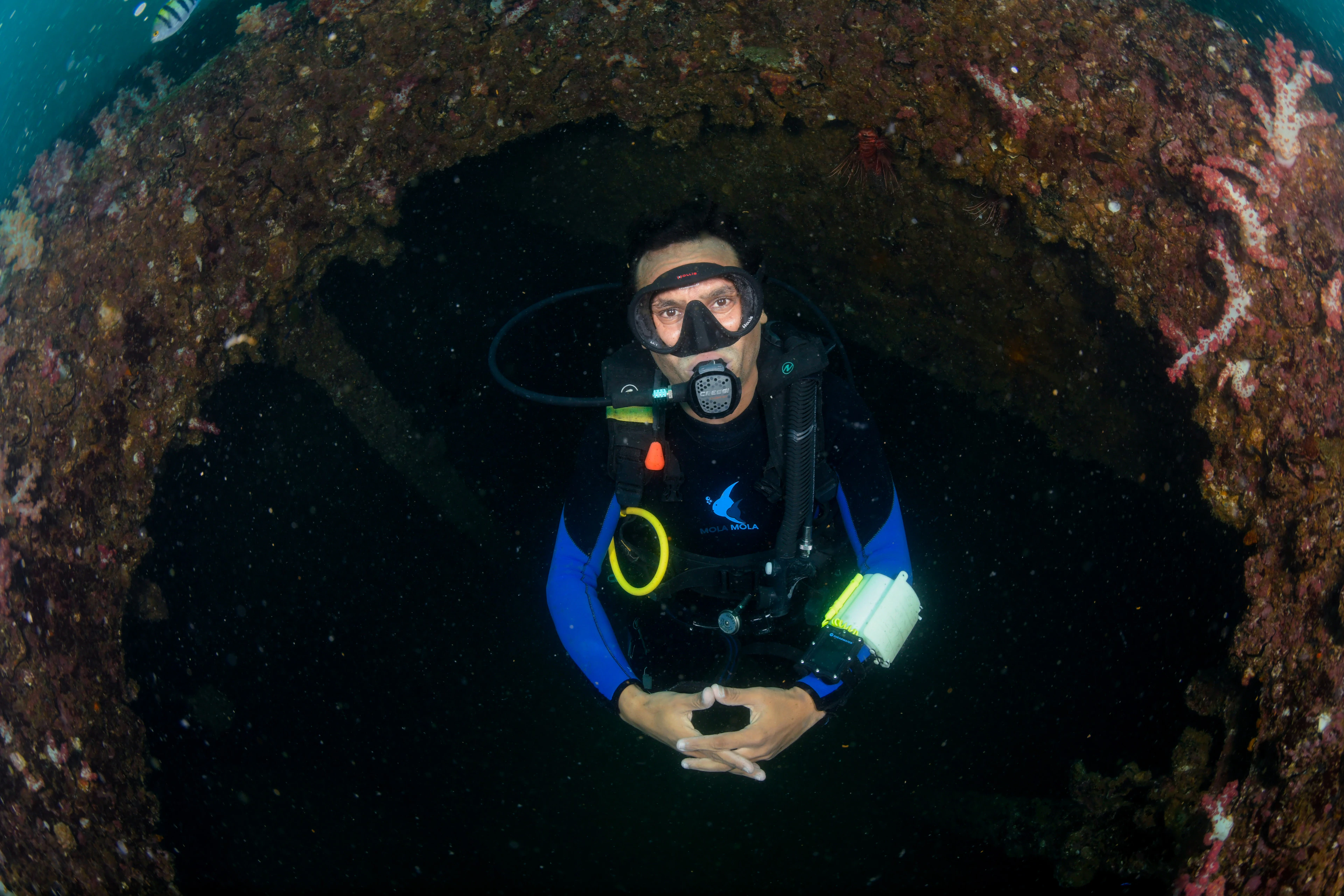 Diver framed in a wreck's opening
