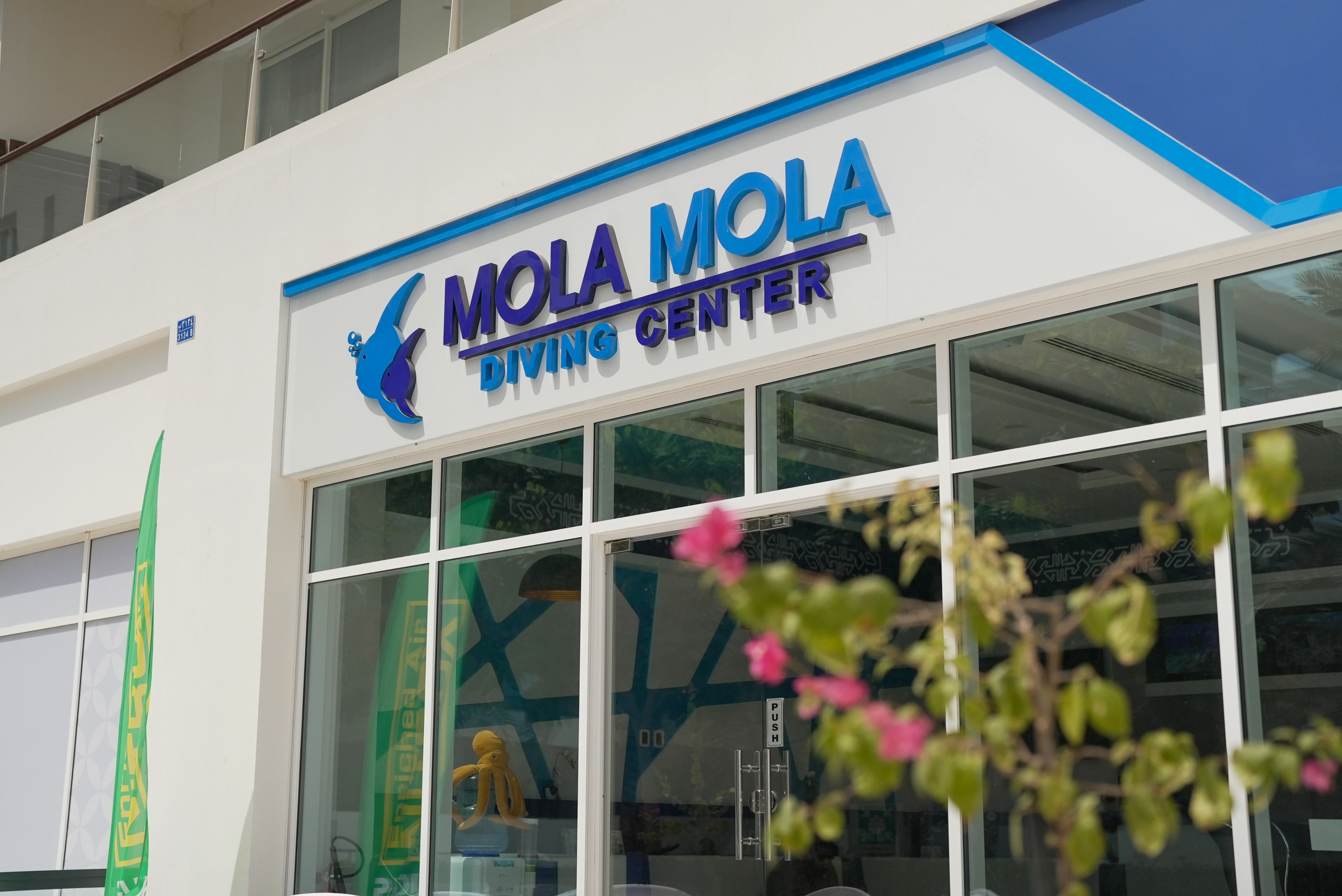 MolaMola Diving Center shopfront
