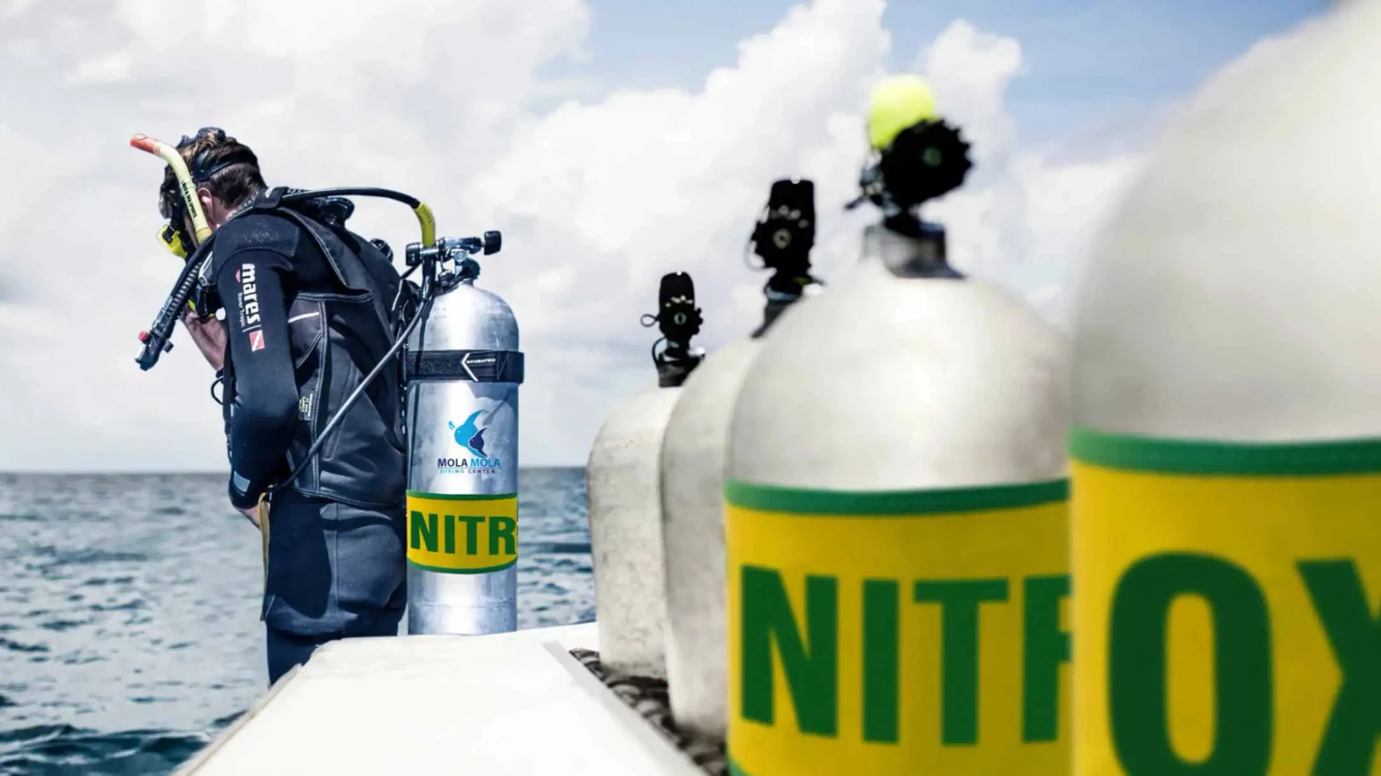 Dive Deeper: Why the PADI Specialty Is Worth It