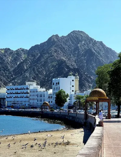 Muscat – The Best Diving Destination