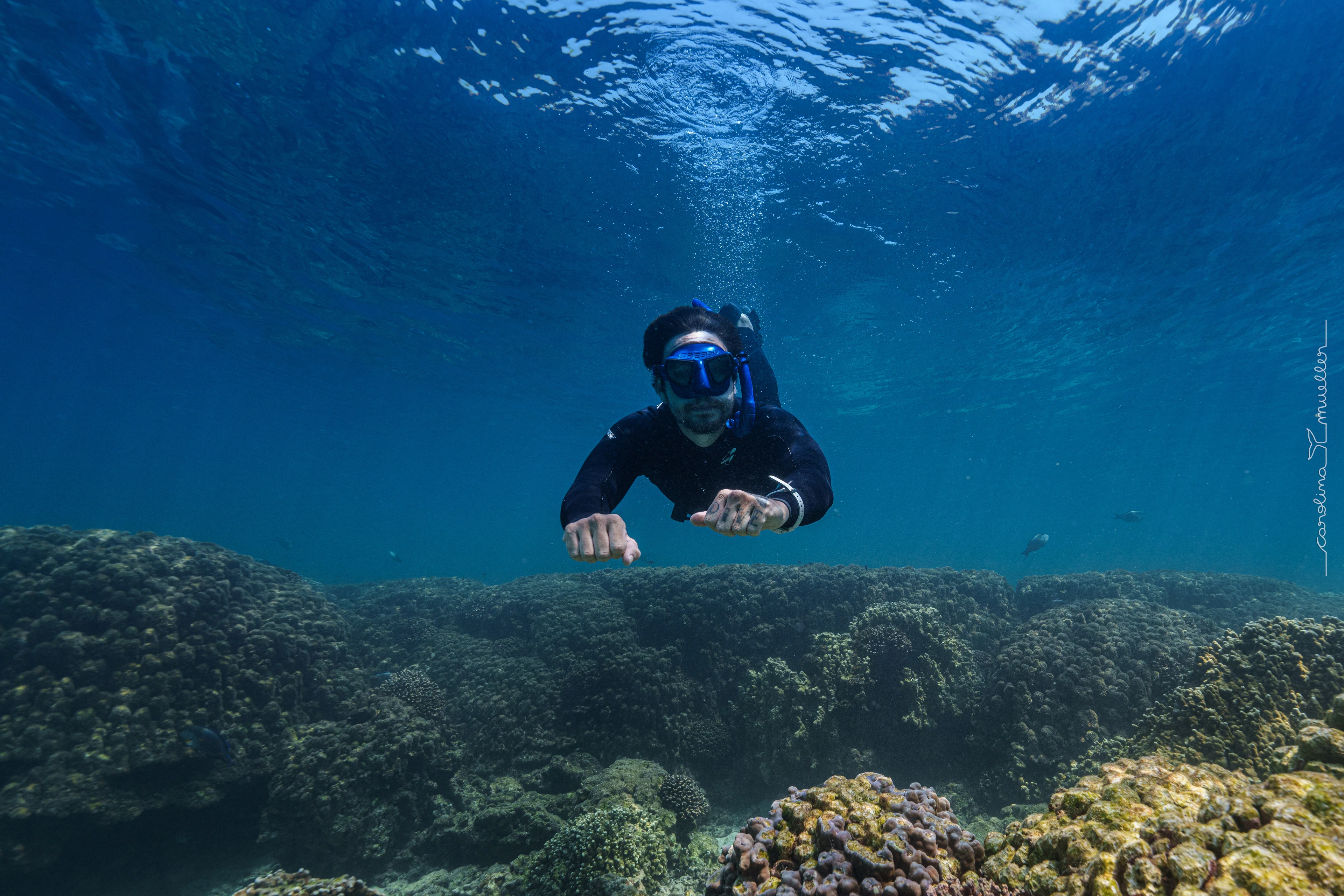 Snorkeler diving down over the reef