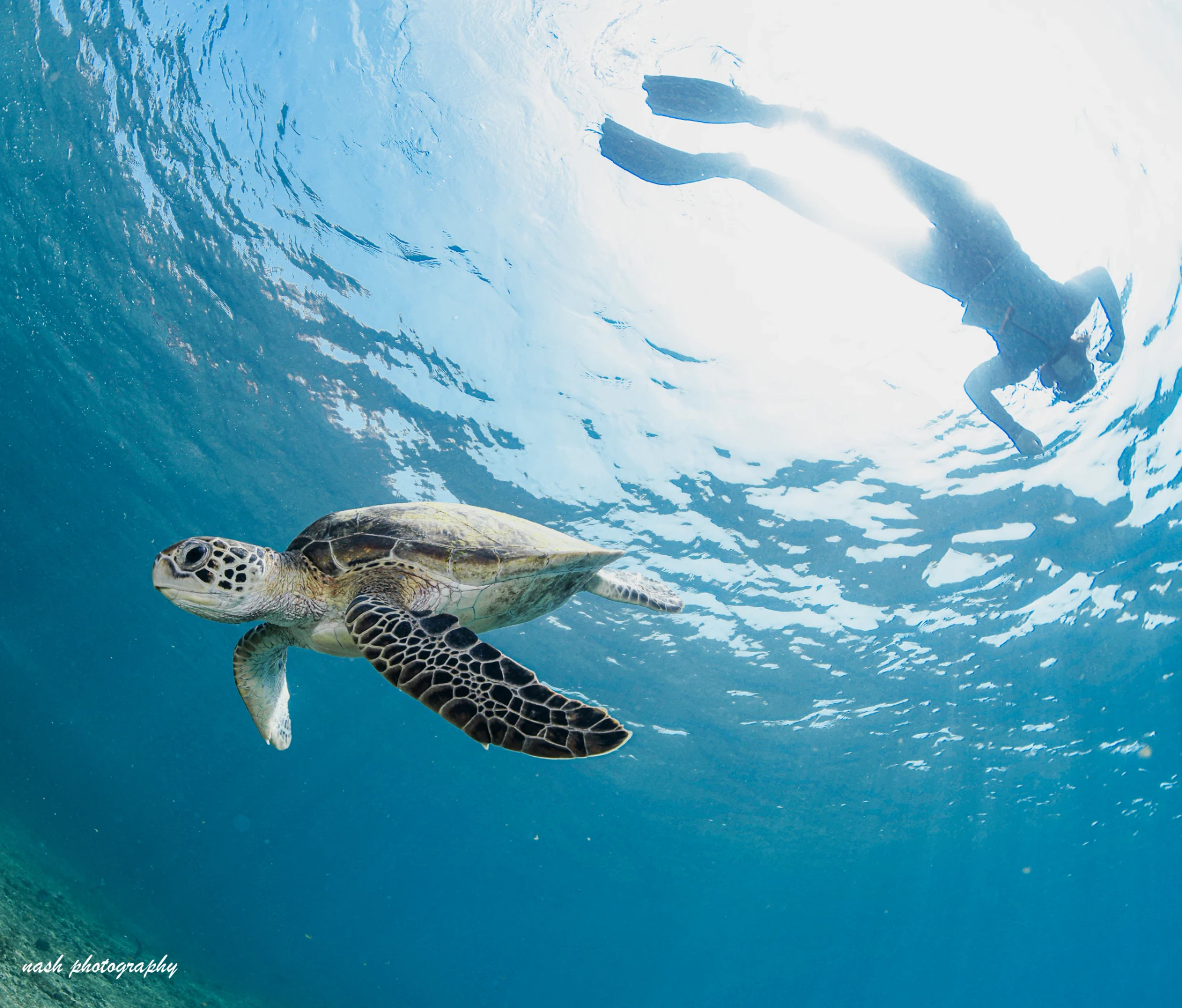 A Snorkeling Trip in Daymaniyat Islands: When and How?