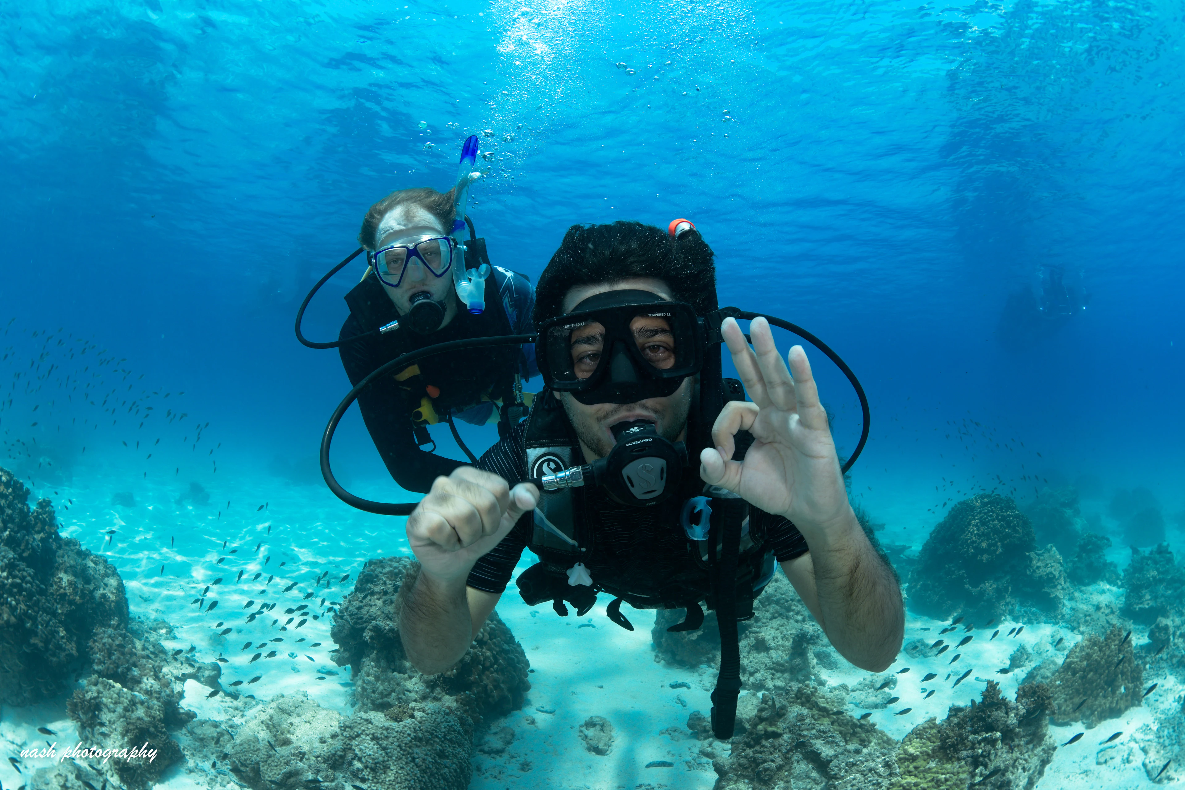 The Ultimate Guide to Scuba Diving in Oman: Best Months and Seasons