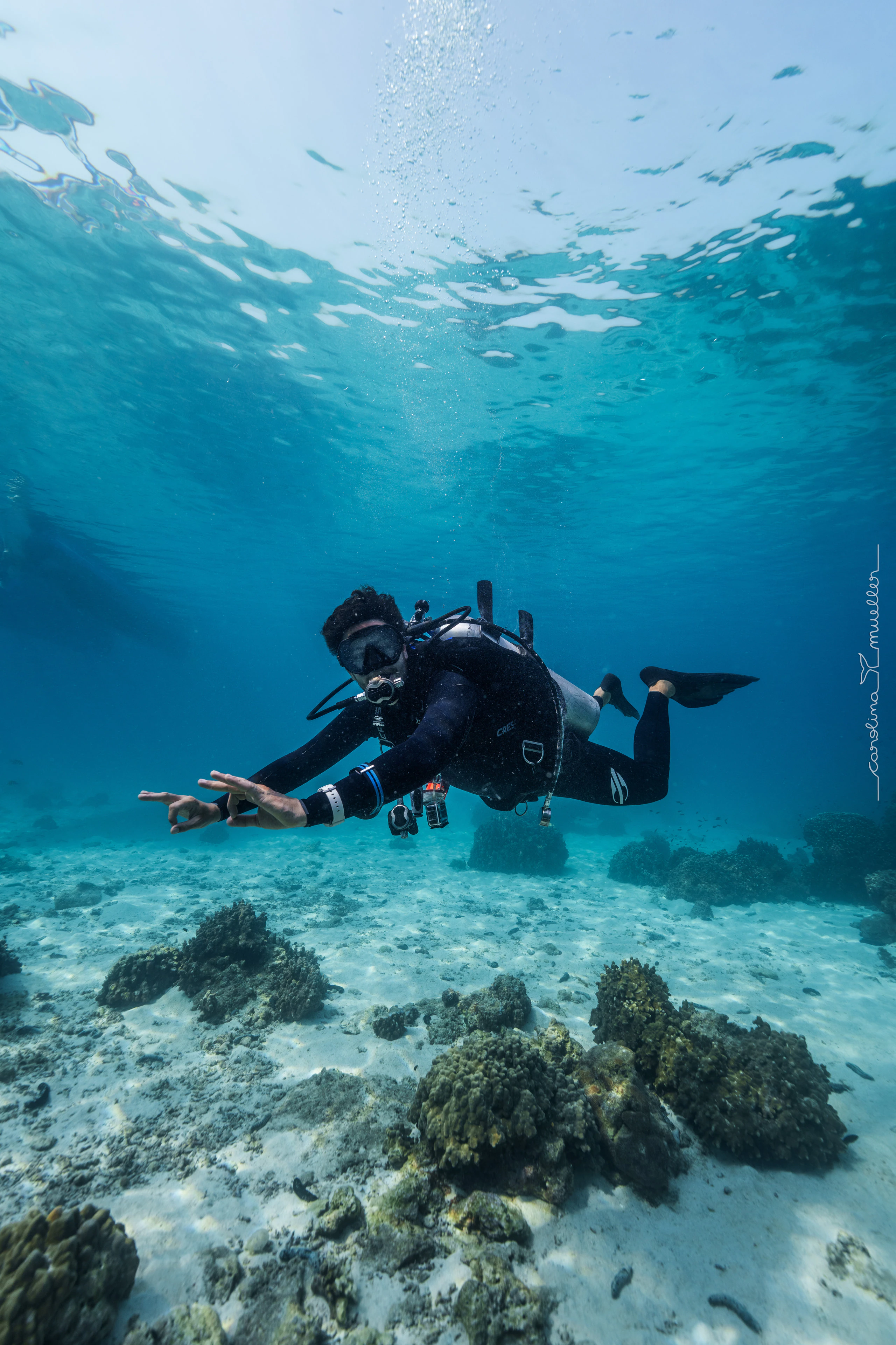 Diver gliding over the sand in shallow clear water