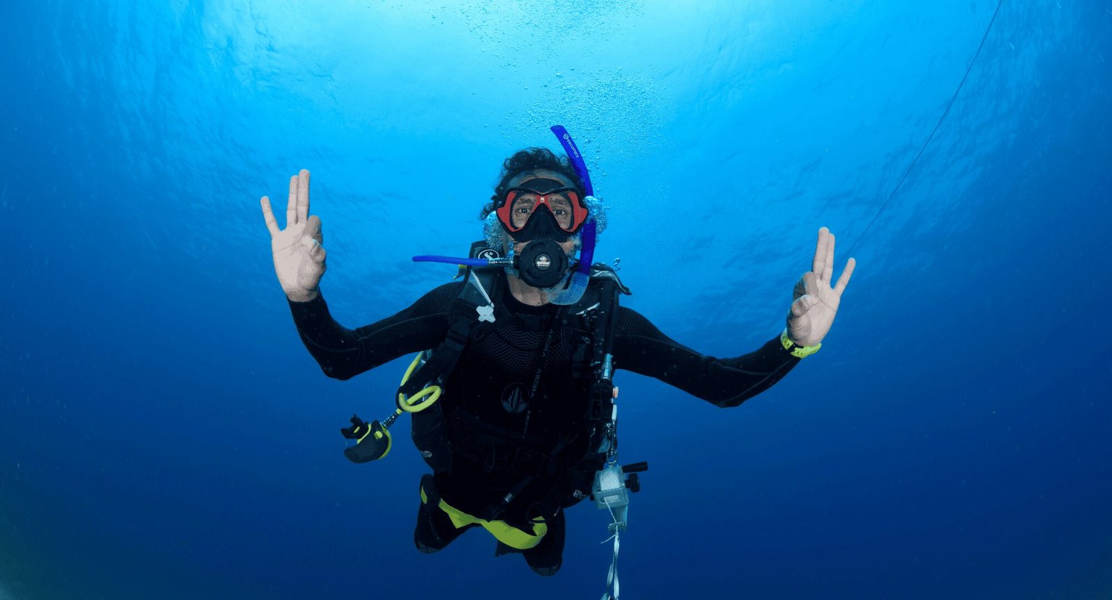 PADI REACTIVATE