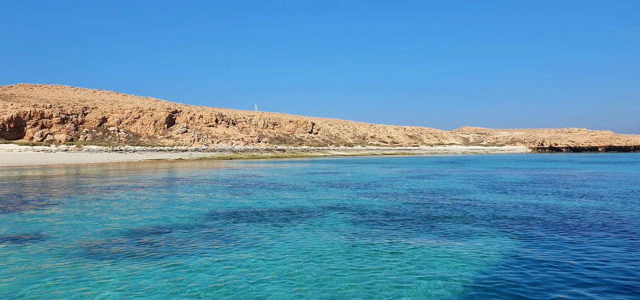 scuba diving in muscat