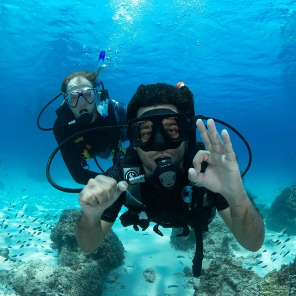 TRY DIVE TRIPS